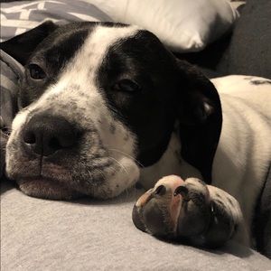 Meet your Posher, April